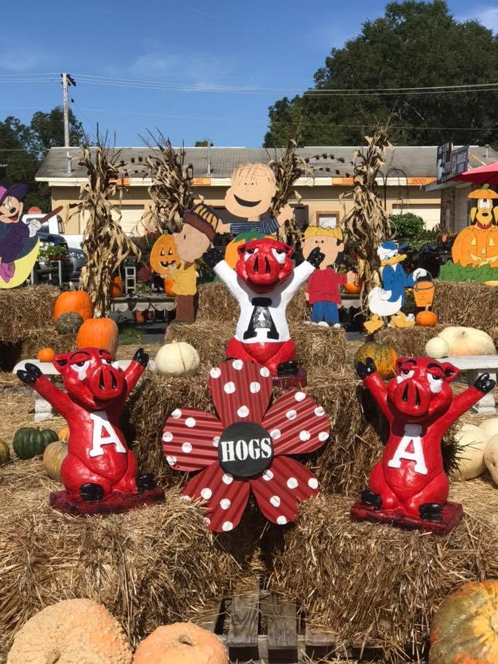 Painted concrete Razorback hogs displayed at Four Seasons Garden Center