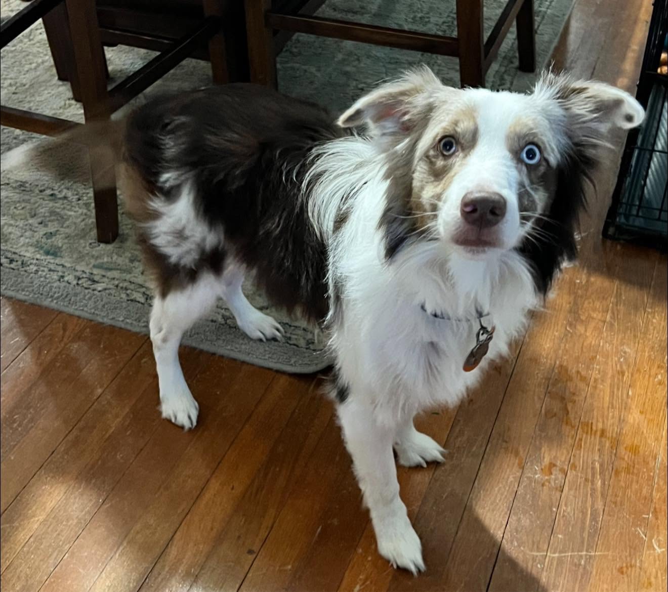 Murphy standing indoors and looking toward the camera