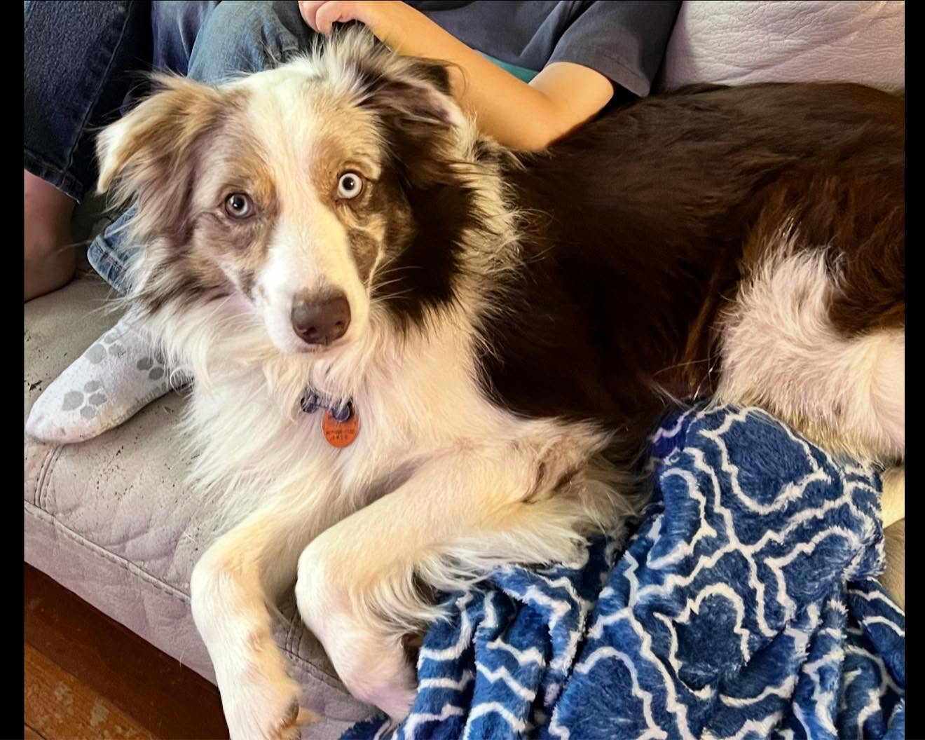 Murphy relaxing with his family